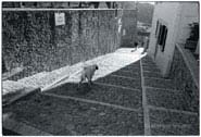 ITALY04